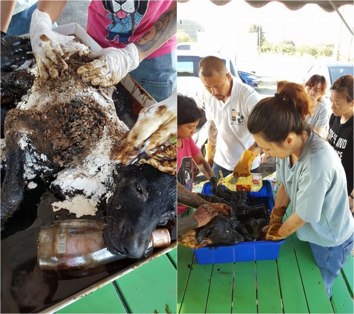 志工用麵粉以及沙拉油清洗「善福」身上的瀝青。 徐文良/提供