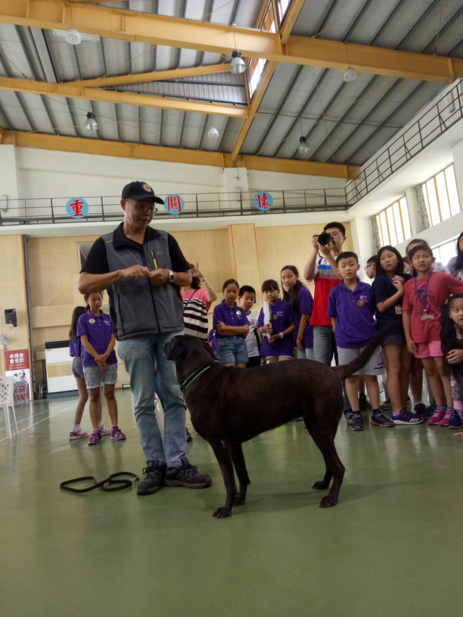 訓犬師教導學生們如何跟狗狗互動。 台中市動保處/提供