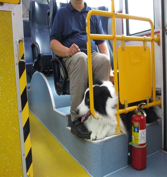 民眾普遍認同且滿意狗狗公車的服務。 台北市交通局/提供