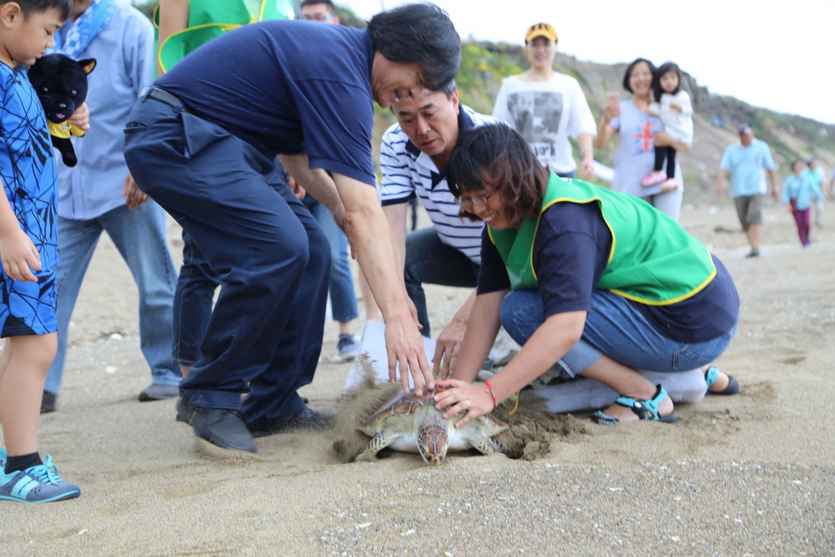 海洋大學海洋生物研究所教授程一駿(左)與新北市動保處處長陳淵泉(中)一同野放海龜。 新北市動保處/提供