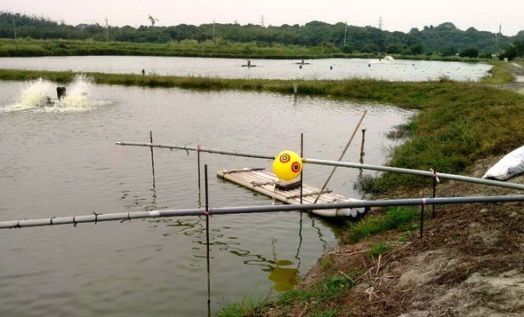 台南市農業局提供趕鳥球給業者，呼籲不要再用屍體嚇人。 台南市農業局/提供