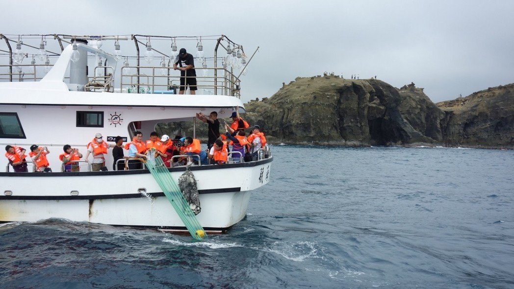 新北市政府在瑞芳保育區放流1萬尾黃鰭鯛與黑鯛亞成魚苗。 新北市漁業處/提供