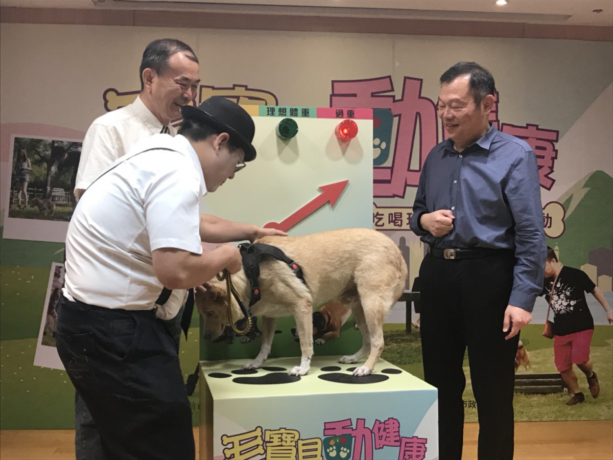 新北市衛生局長林奇宏與動保處長陳淵泉一起為體重過胖的「胖黃」量體重，希望家中有過胖的狗狗可以踴躍來參加活動。 姚崇仁/攝