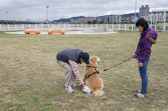 為維護運動公園內的環境品質，飼主應養成隨手清狗便的習慣以免受罰。 台北市動保處/提供