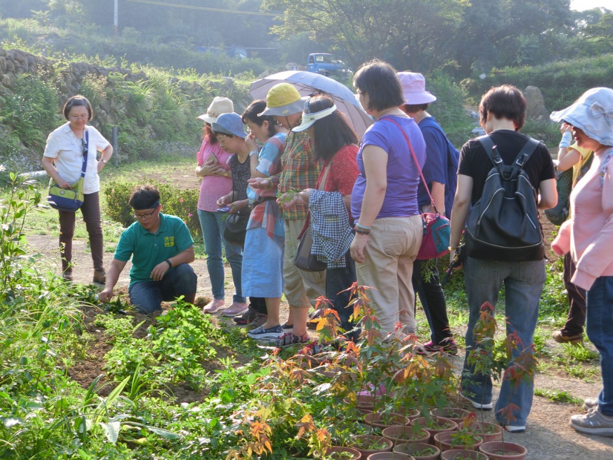 百大青農陳琬婷以友善環境的方式種植各式各樣農作物。 新北市動保處/提供