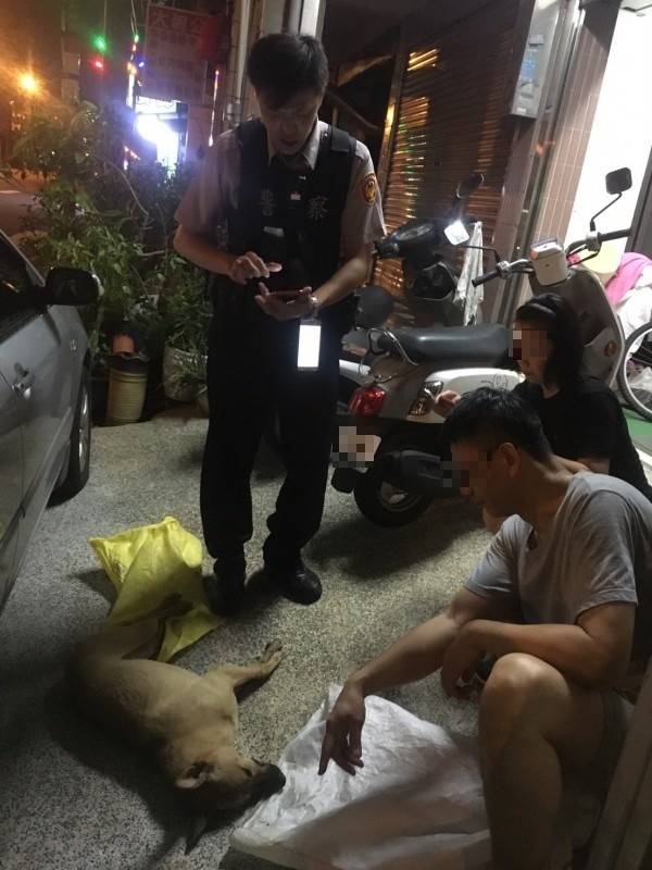 飼主相當難過愛犬遭人毒殺。 飼主/提供