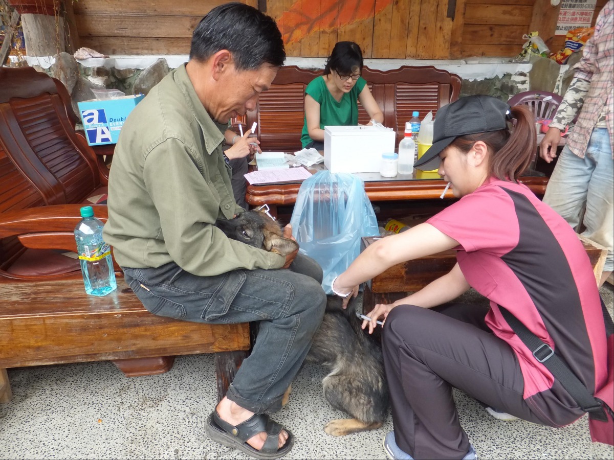 為預防狂犬病,飼主每年務必為家中犬貓完成狂犬病疫苗注射。 高雄市動保處/提供