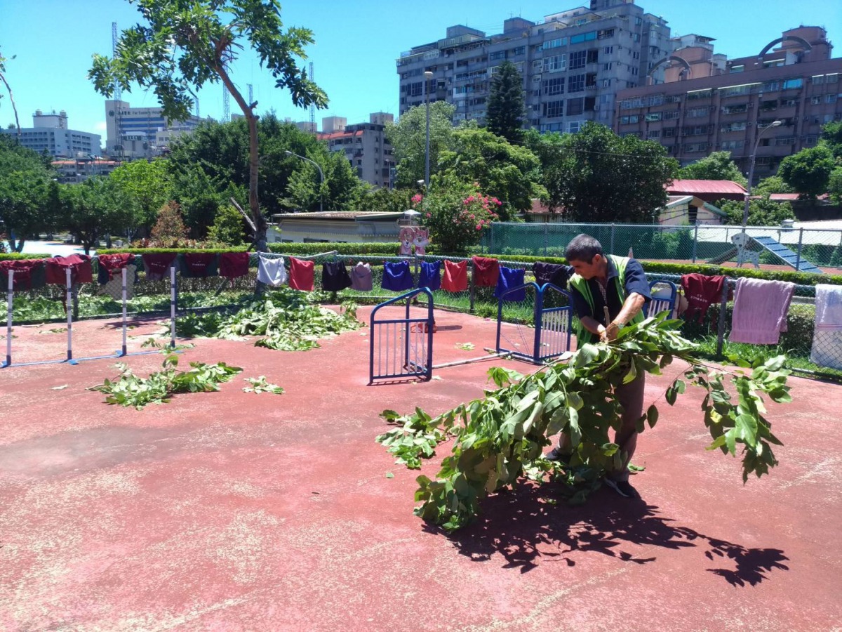 動保處已將板橋動物之家的樹木修剪完畢。 新北市動保處/提供