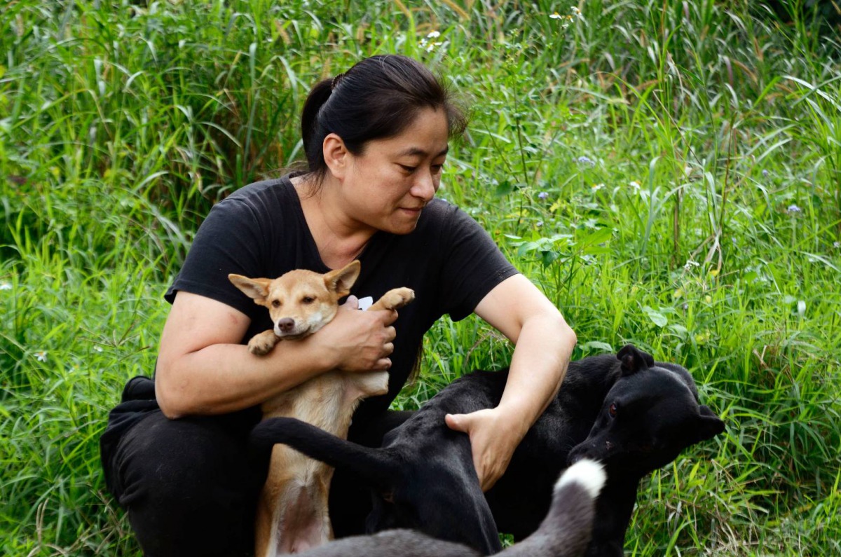 南投縣關懷動物協會理事長黃紹甄不遺餘力的照顧流浪動物。 黃紹甄/提供