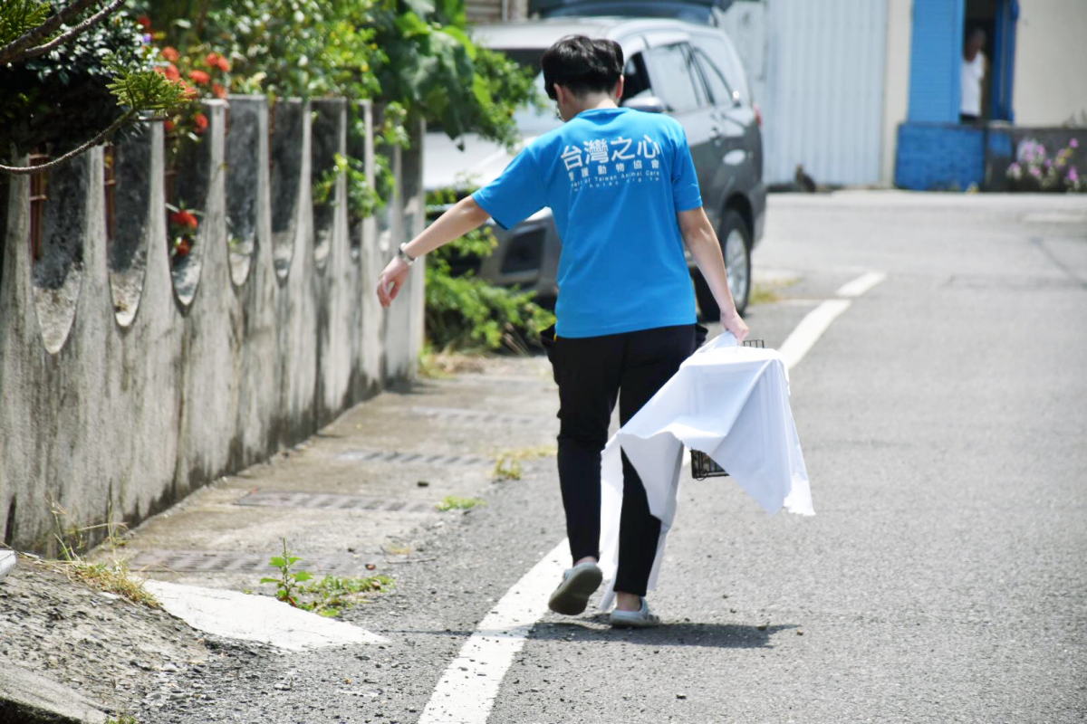 台灣之心於車城鄉執行駐紮任務一共替196隻犬貓絕育。台灣之心愛護動物協會/提供