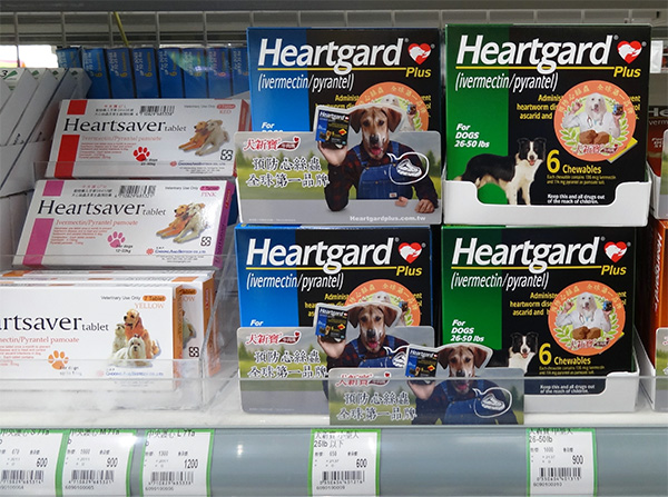 動物用藥不足的問題也可以透過國外輸入來解決。資料照片 新北市政府農業局/提供