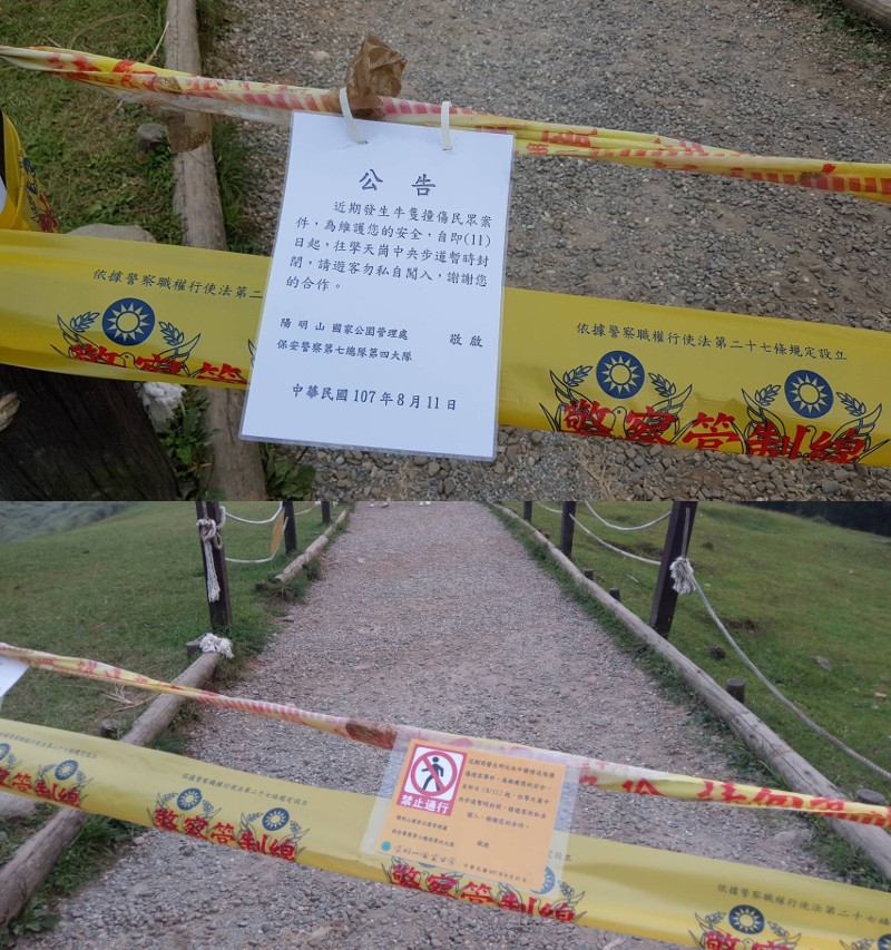 為維護遊客安全，陽管處暫時封閉擎天崗中央步道及周邊入口。 陽管處/提供