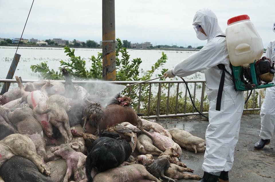 國軍化學兵協助進行消毒工作。 陸軍司令部/提供