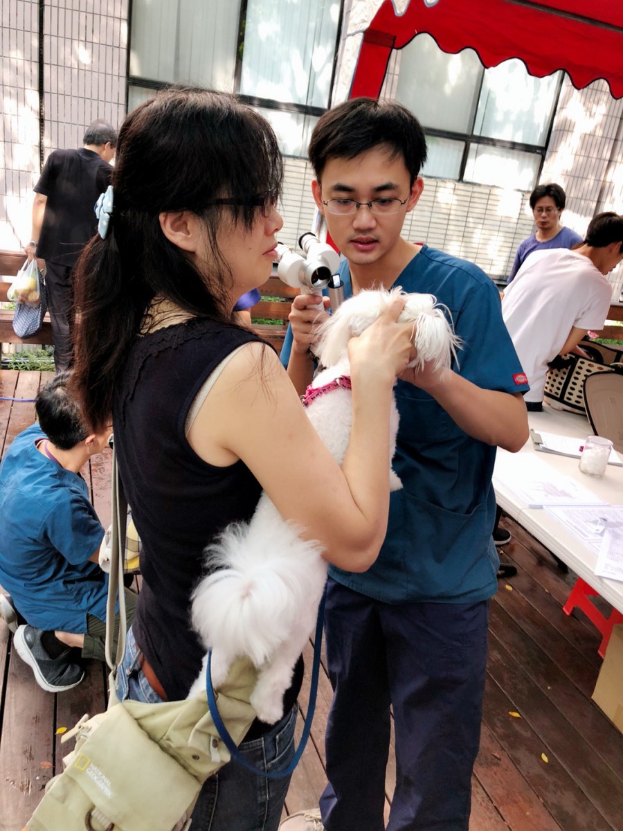 中興大學獸醫教學醫院在現場提供犬貓心臟和眼睛的健康檢查。 台中市動保處/提供