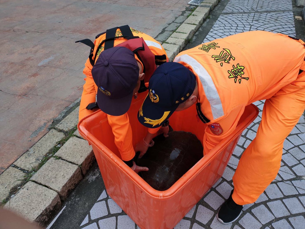 海巡人員將欖蠵龜暫時安置在救援桶內。第一二岸巡隊/提供
