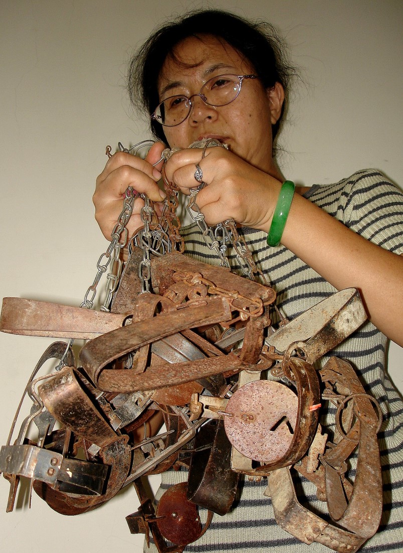 目前「持有」捕獸鋏並沒有違法，因此動物遭夾傷的事件層出不窮。 台灣動物緊急救援小組/提供