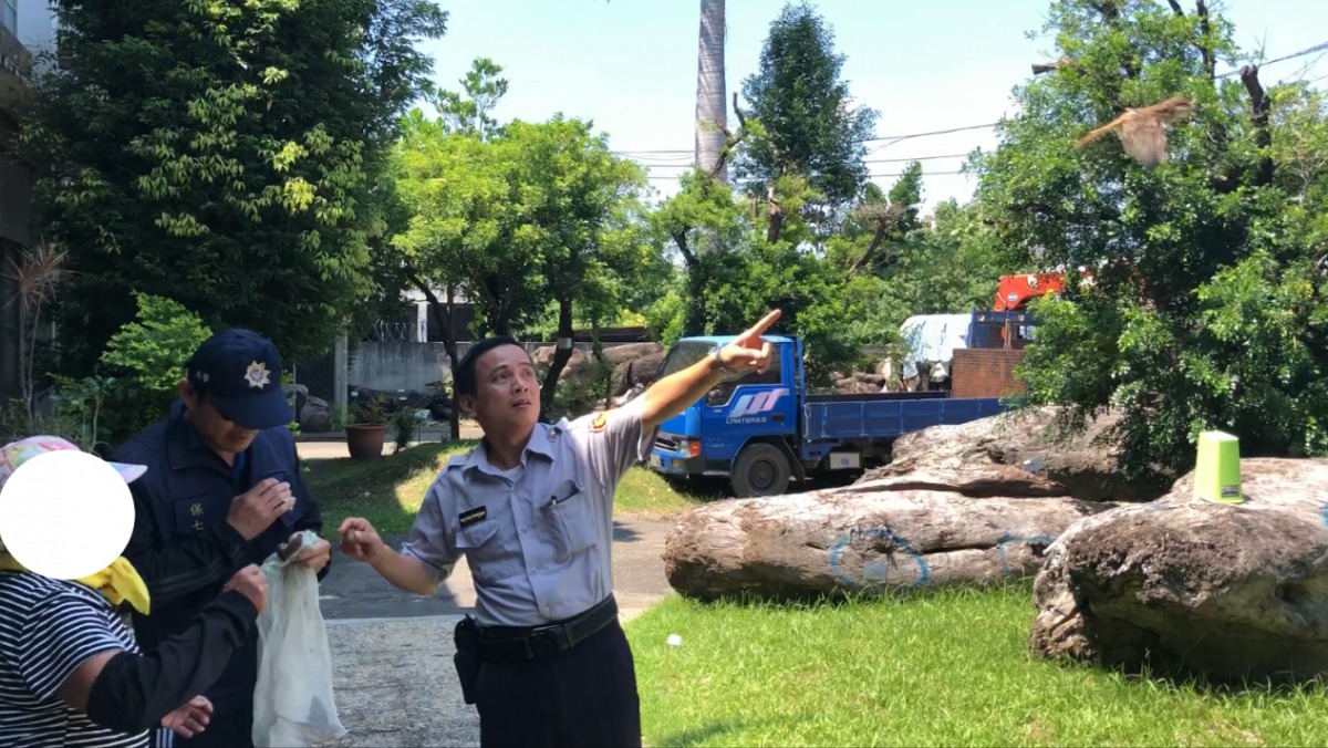 警方將林姓婦人捕獲到的紅尾伯勞野放。 保七總隊第八大隊/提供
