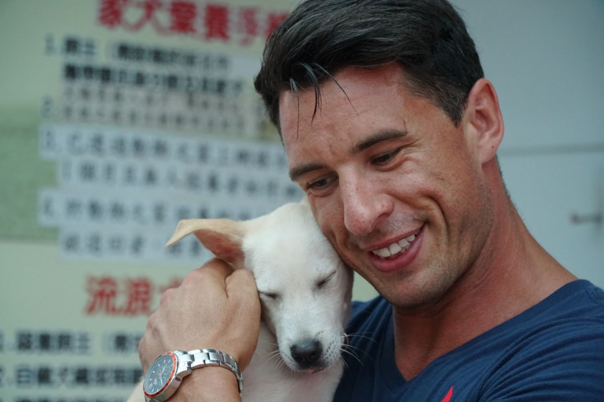 澳洲消防猛男David Raciti與板橋動物之家犬隻。 新北市動保處/提供