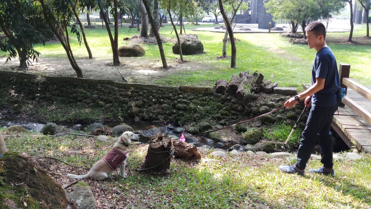偵查犬偵測到褐根菌後會立刻坐下。 嘉義林管處/提供