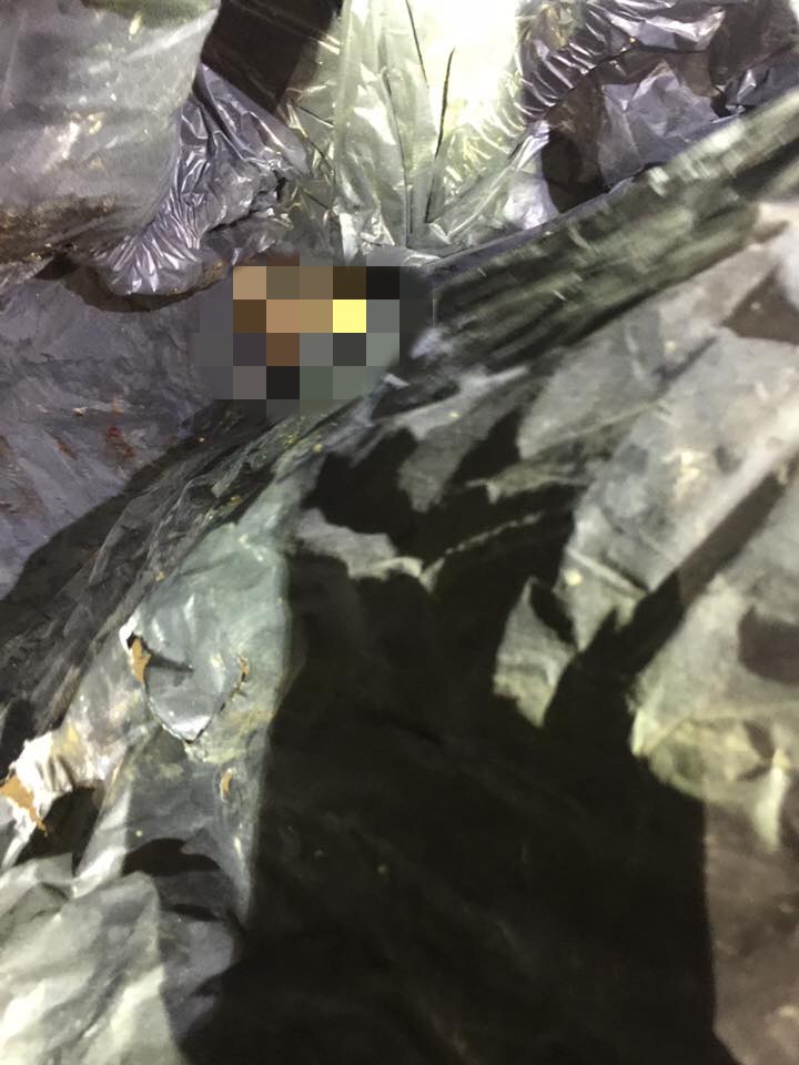 現場查獲塑膠袋內狗狗的殘骸。取自/動保人士黃泰山臉書