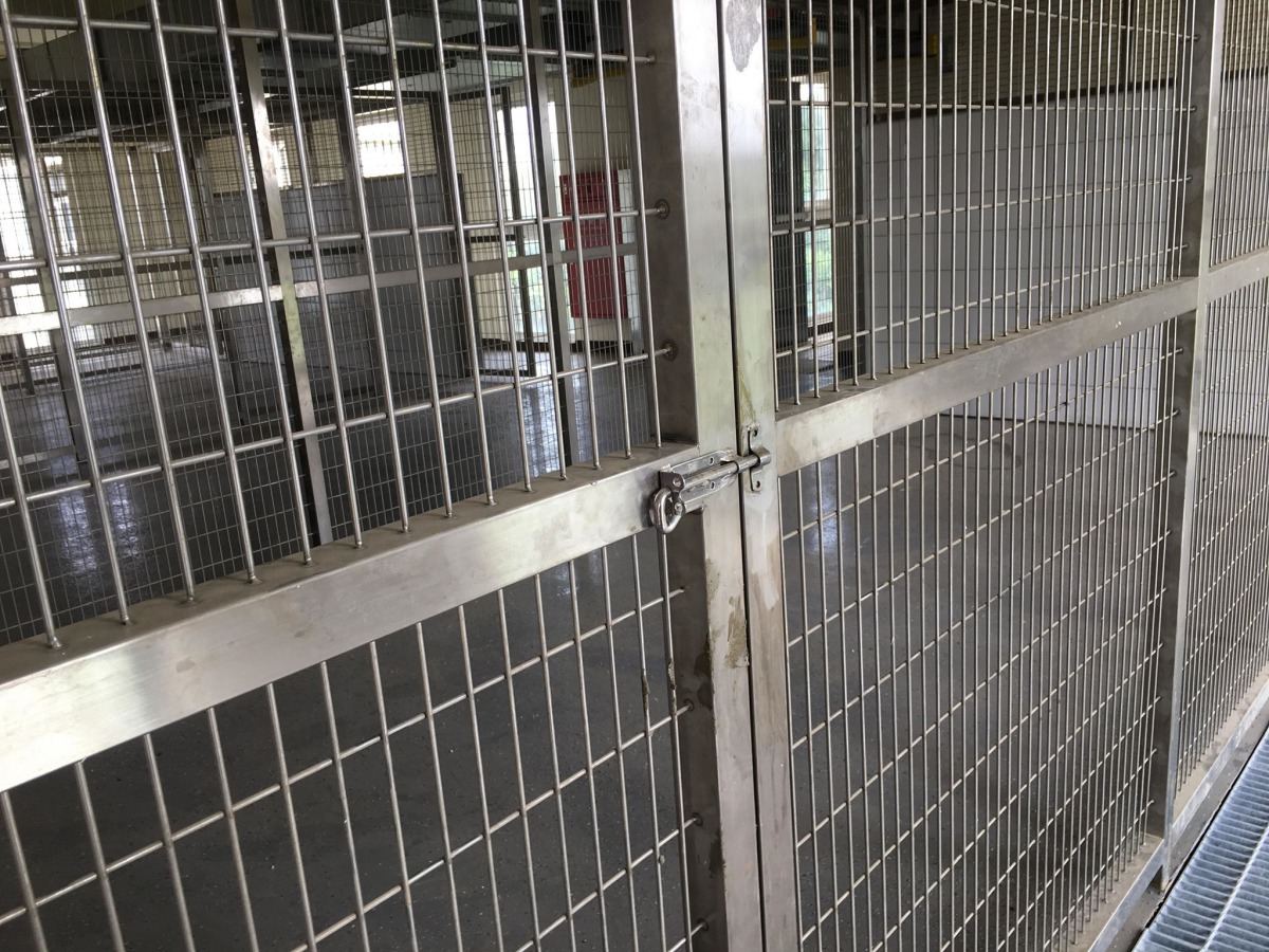 門栓設計在外面獨自一人到裡頭清掃餵食時無法關門。 劉姓志工/提供