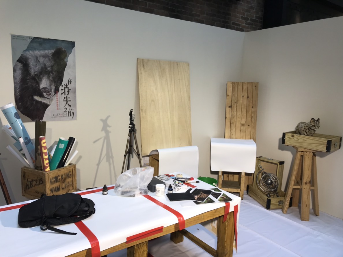 Rose Ronat在科教館的臨時畫室畫出石虎與台灣雲豹。 姚崇仁/攝