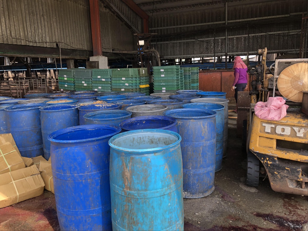 廚餘是傳播非洲豬瘟的途徑之一,各地防疫機關都會進行稽查豬場是否有按規定蒸煮廚餘。 高雄動保處/提供