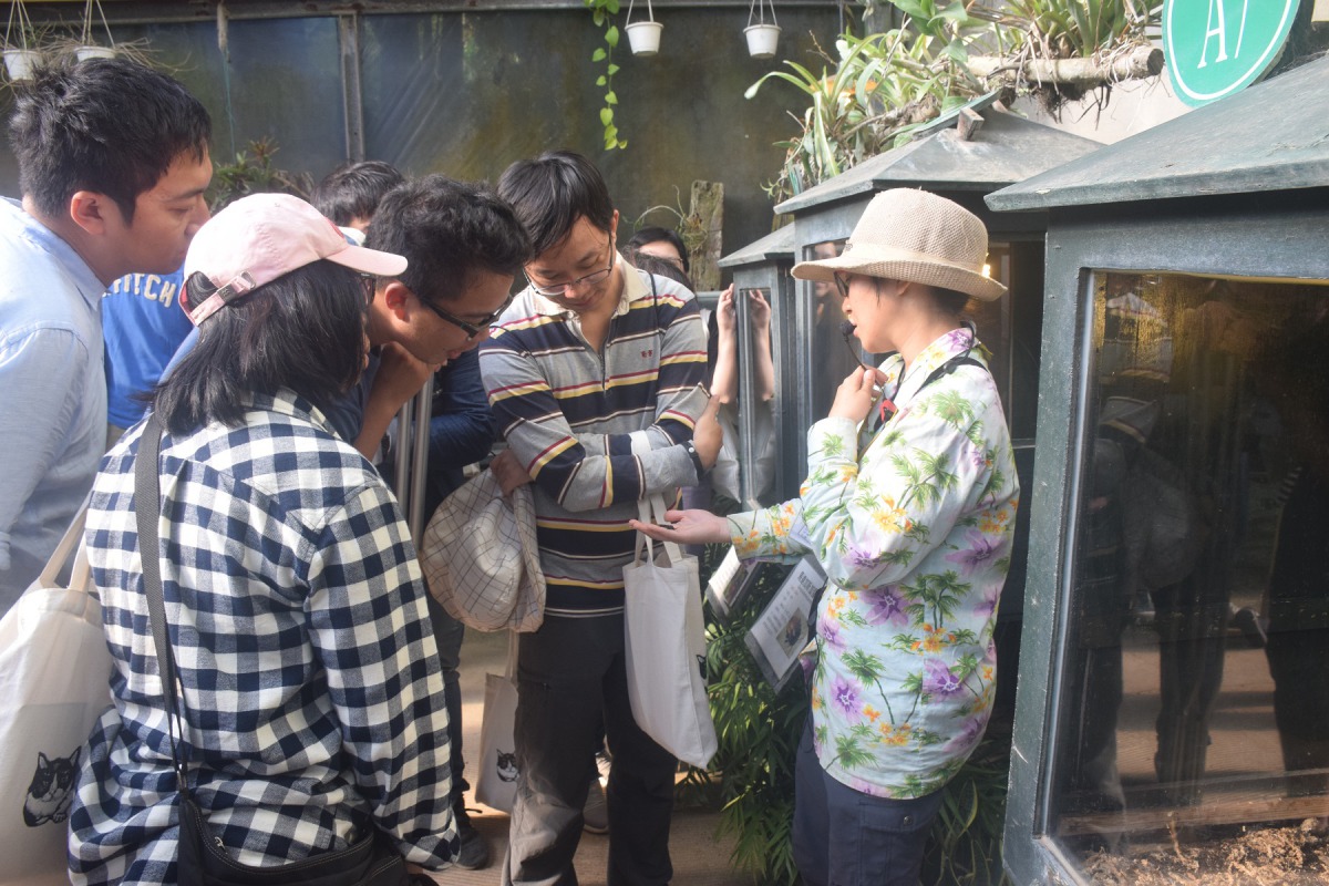 志工們仔細觀察導覽員手上來自非洲的蜚蠊(蟑螂)。 姚崇仁/攝