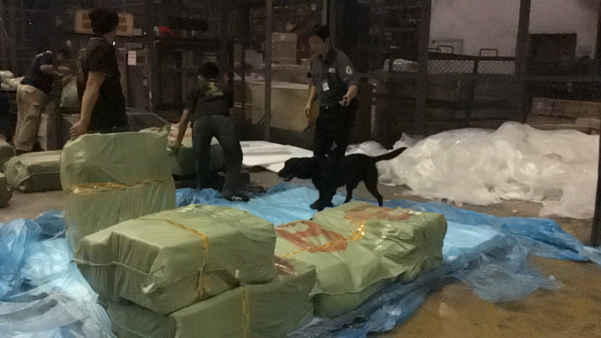 檢疫犬在各港口和機場偵測來台貨物是否有肉品。 關務署/提供