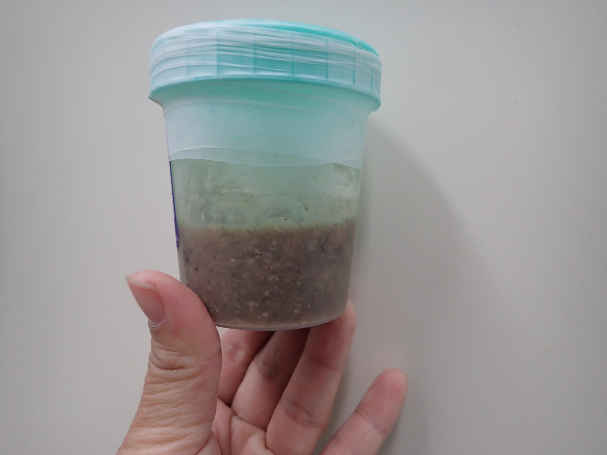 「糖果」胃中的內容物被驗出含有農藥。苗栗動物保護防疫所/提供