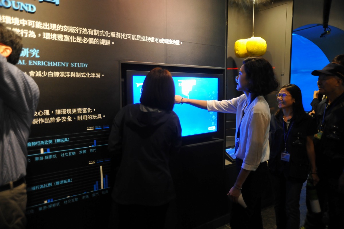 「發現•貝魯卡」展示海生館為白鯨所製作的玩具。 海生館/提供