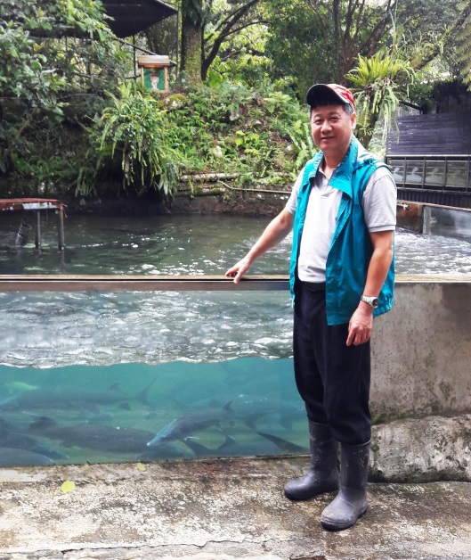 歷經風災與疫病的影響,林典仍持續將小魚苗育成。 林典/提供
