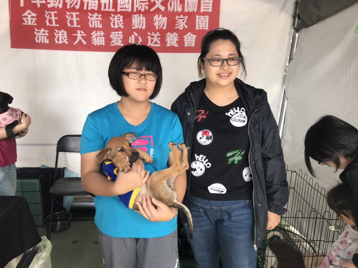 民眾在中華動物福祉國際交流協會的認養會上認養小幼犬。 姚崇仁/攝