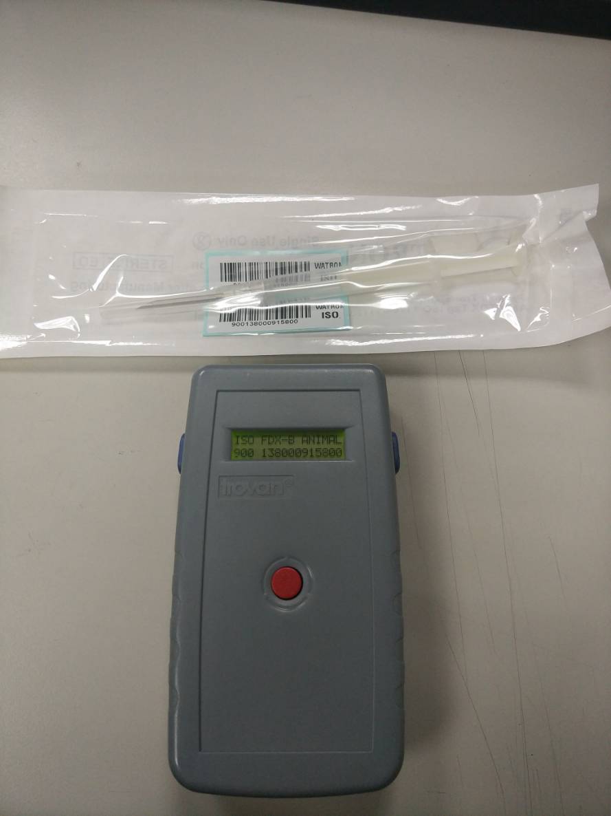 飼主在犬貓出生就必須要施打晶片以及上網辦理寵物登記。 新北市動保處/提供