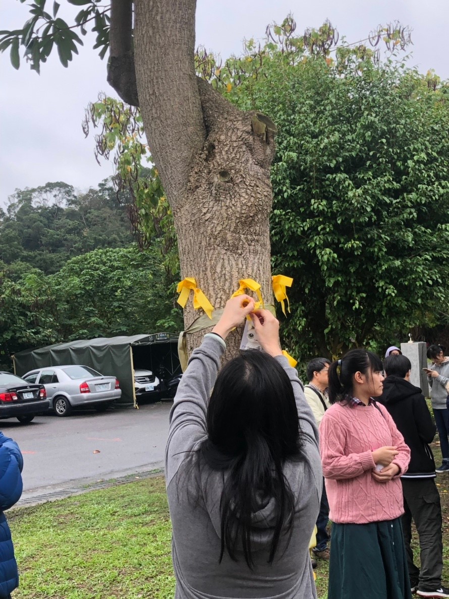 飼主在樹上繫上黃絲帶和卡片緬懷毛寶貝。 新北市動保處/提供
