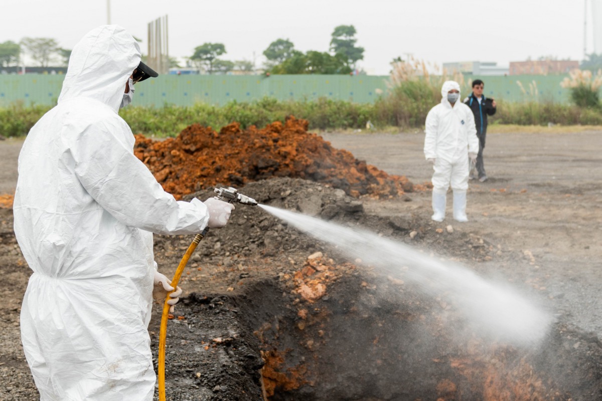 豬隻掩埋過程都有進行消毒工作。 桃園市政府/提供