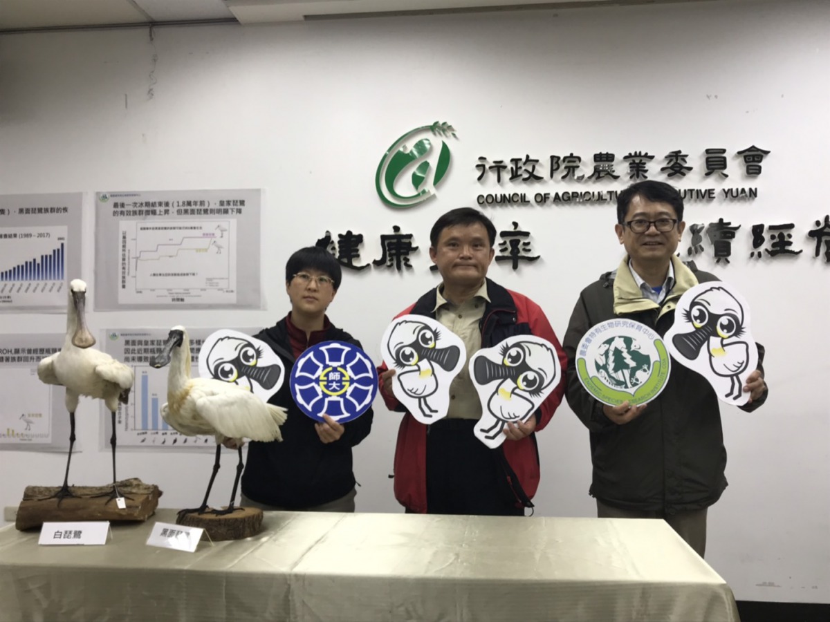 特生中心主任楊嘉棟(右)、副研究員姚正得發表黑面琵鷺基因組解碼。 姚崇仁/攝