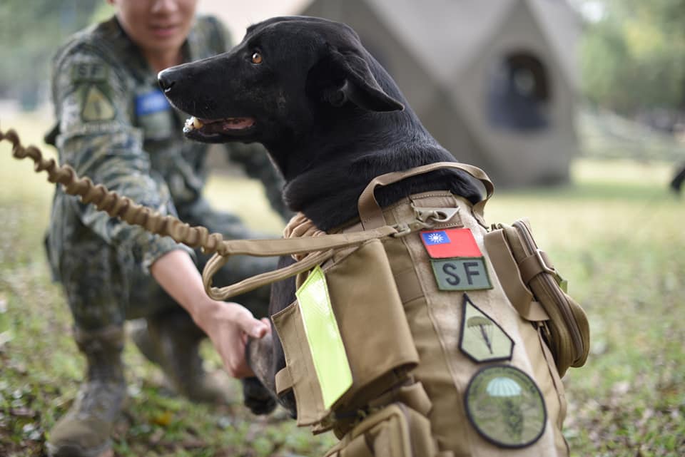 「HOLA」專屬的衣服上有特戰指揮部隊徽以及行軍臂章。取自/陸軍司令部粉絲專頁