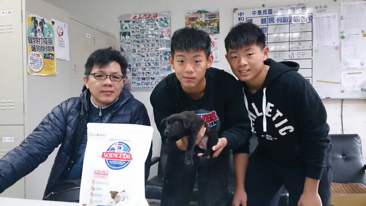 動保處鼓勵民眾到各地收容所認養犬貓。 新北市動保處/提供