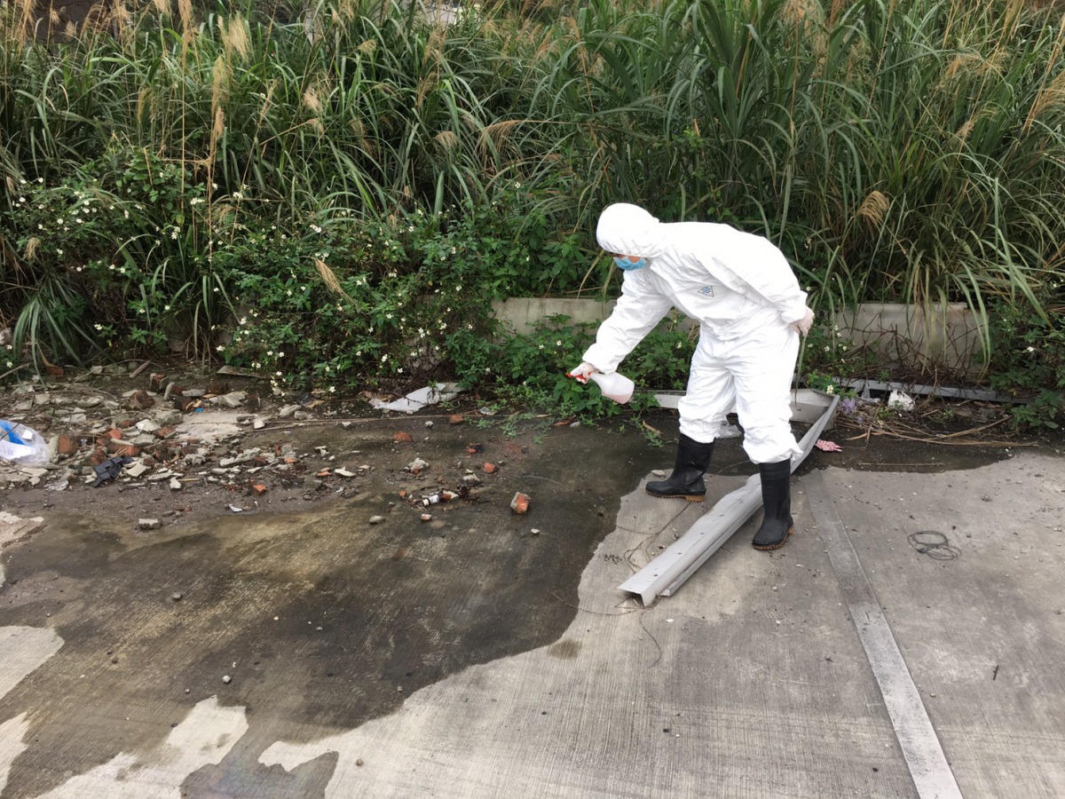 防疫人員已將現場消毒完畢。 新北市動保處/提供