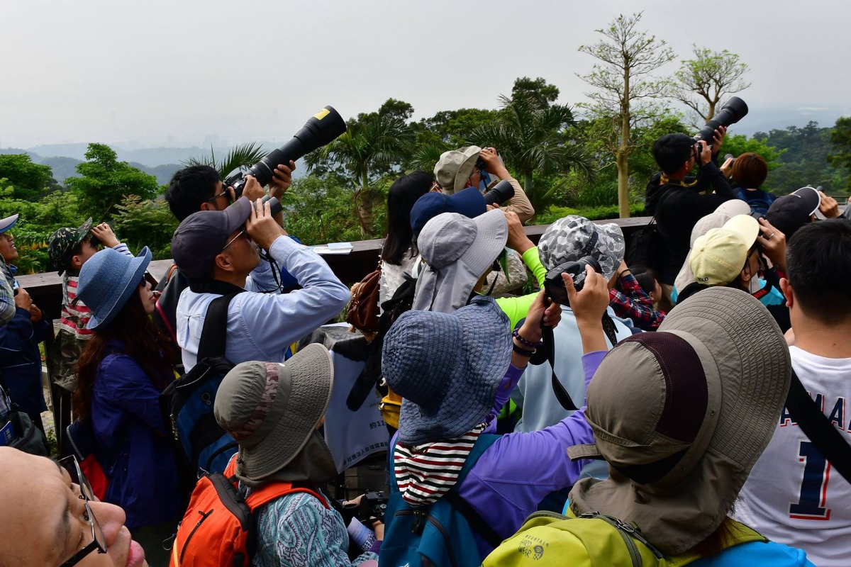 觀音山賞鷹平台吸引民眾賞鳥。 觀光局/提供