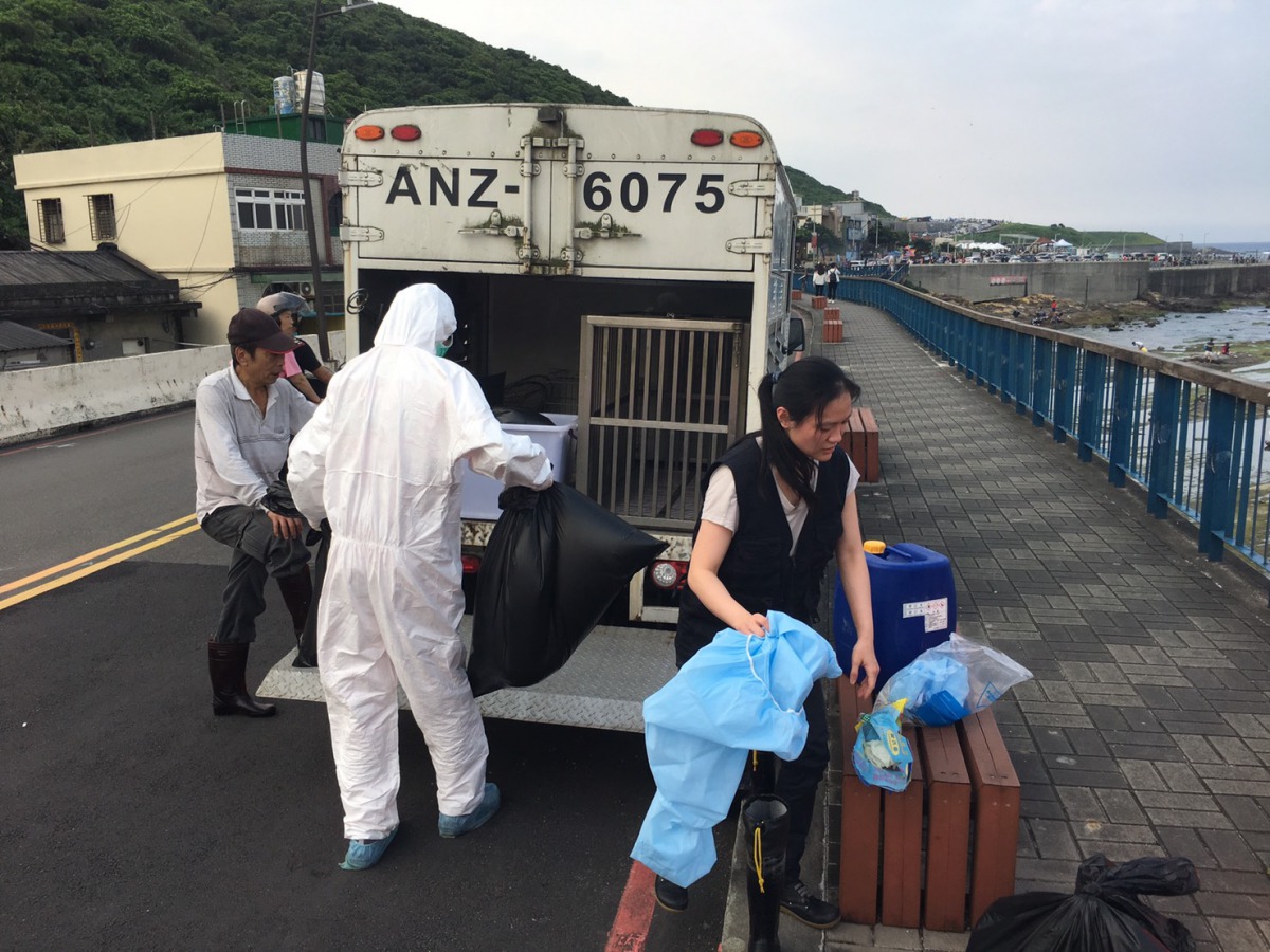 潮境公園內發現的瓶鼻海豚及犬隻屍體由基隆動保所帶回處置。第二岸巡隊/提供