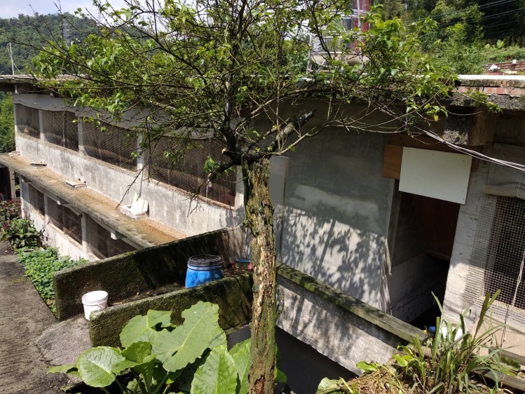 動保處協助謝樟樹蛋雞場使用遮蔽圍網，避免野鳥入侵與掉落糞便。 新北市動保處/提供
