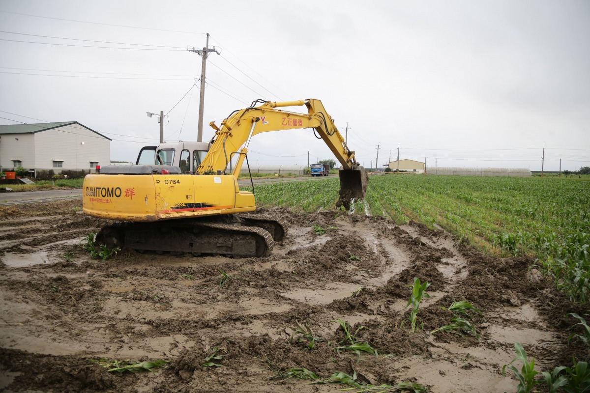 地方政府已將發現秋行軍蟲的農地進行掩埋銷毀。 嘉義縣農業處/提供