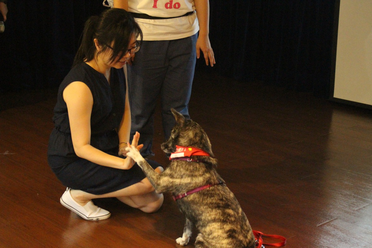 除了小朋友之外，大人也試著跟「裘裘」互動，不分年齡學習生命教育。 姚崇仁/攝