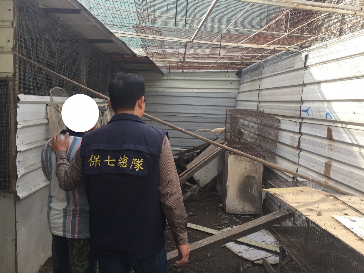 保七總隊破獲非法飼養及販賣保育動物，以《野保法》移送法辦。保七總隊第八大隊/提供