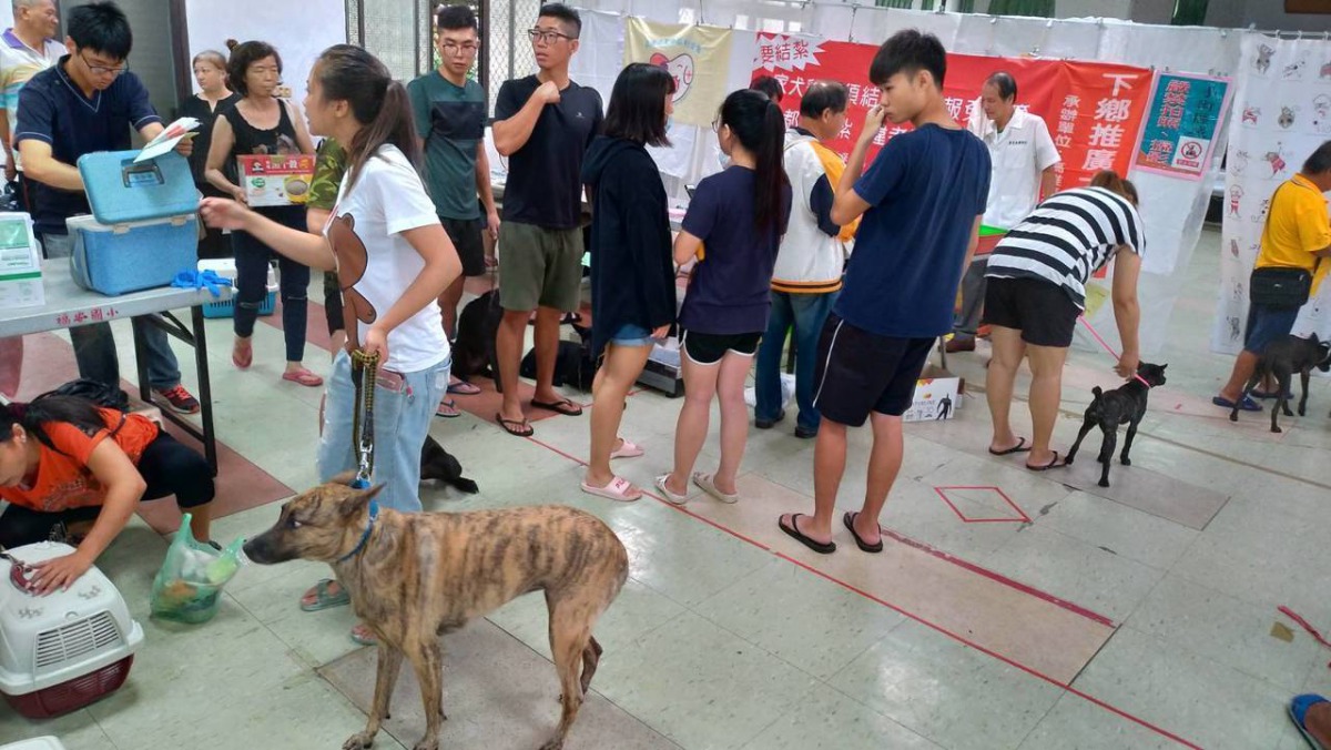 動保處與獸醫師志工團隊合作，下鄉辦理免費犬貓絕育及晶片植入登記、狂犬病疫苗預防注射活動，吸引許多民眾前來響應。 高雄市動保處/提供
