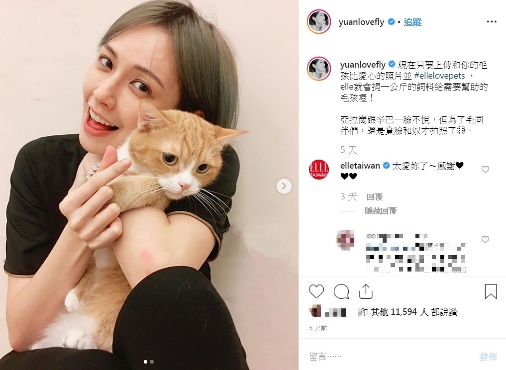 藝人袁艾菲也在自己的IG上分享毛孩愛心照。 翻攝自/袁艾菲IG