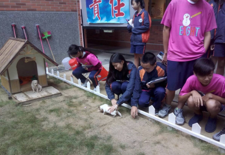學校原本蓋給「黑鼻」的家,沒想到黑鼻不住,便成為其他浪犬的中途之家。 新北市動保處/提供