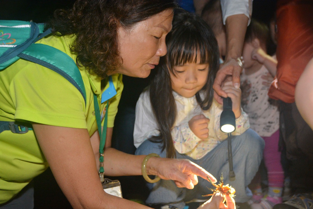 仁寶電腦員工帶著小朋友來認識陸蟹。 仁寶電腦/提供